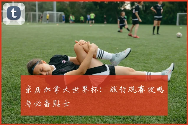 亲历加拿大世界杯：旅行观赛攻略与必备贴士