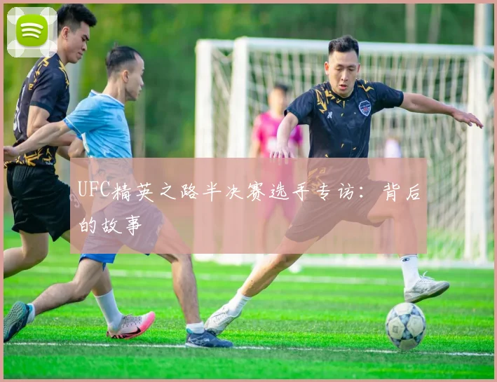 UFC精英之路半决赛选手专访：背后的故事